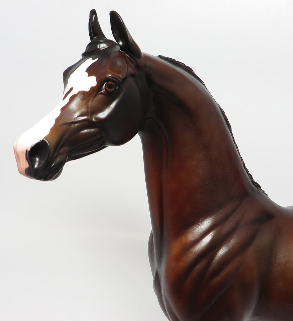 FINNEGAN-OOAK CUSTOMIZED LIVER CHESTNUT ARABIAN 10/24/17
