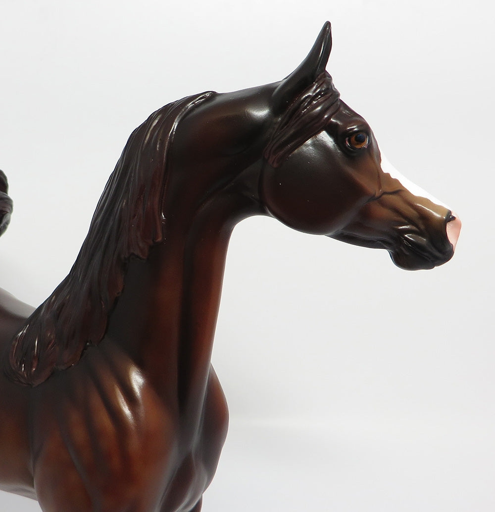 FINNEGAN-OOAK CUSTOMIZED LIVER CHESTNUT ARABIAN 10/24/17