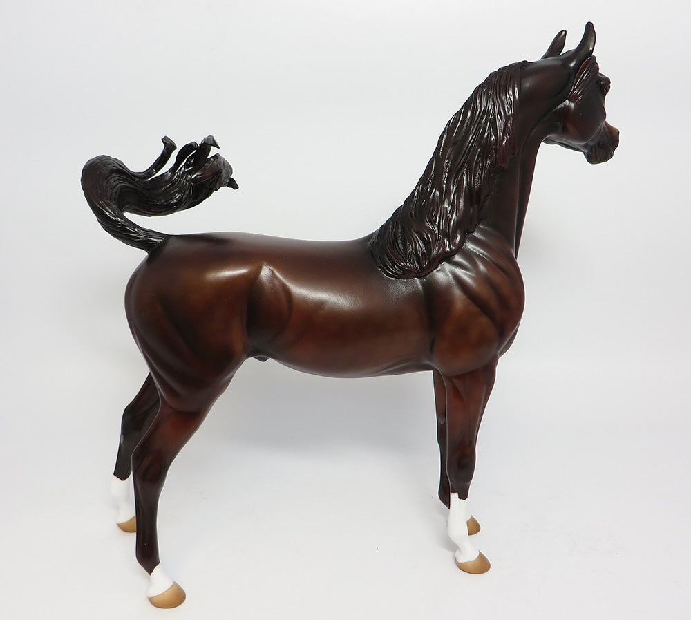 FINNEGAN-OOAK CUSTOMIZED LIVER CHESTNUT ARABIAN 10/24/17