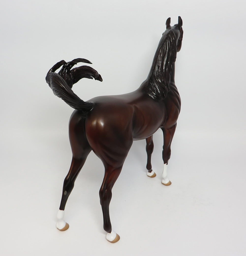 FINNEGAN-OOAK CUSTOMIZED LIVER CHESTNUT ARABIAN 10/24/17