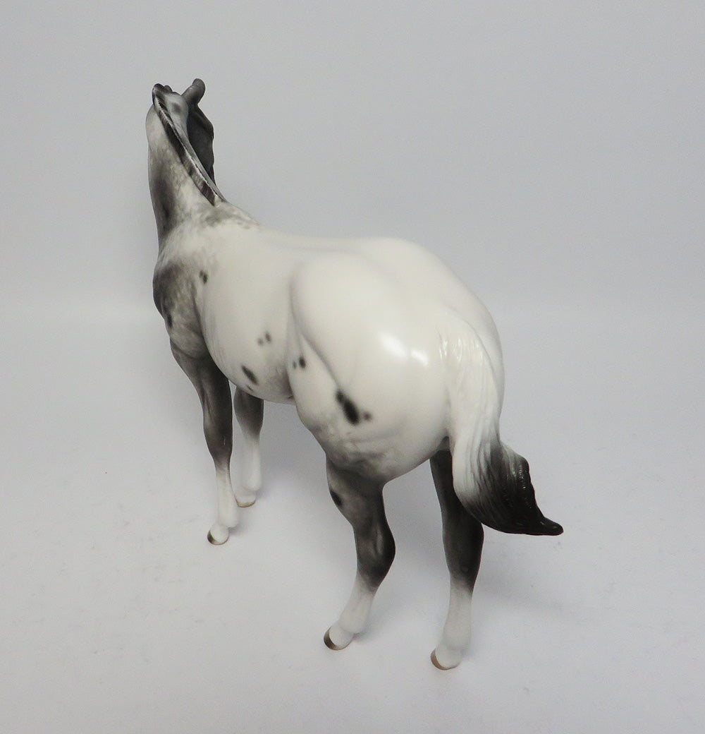 JASPER TWO~OOAK APPALOOSA WEANLING MODEL HORSE BY SHERYL LEISURE 4/20