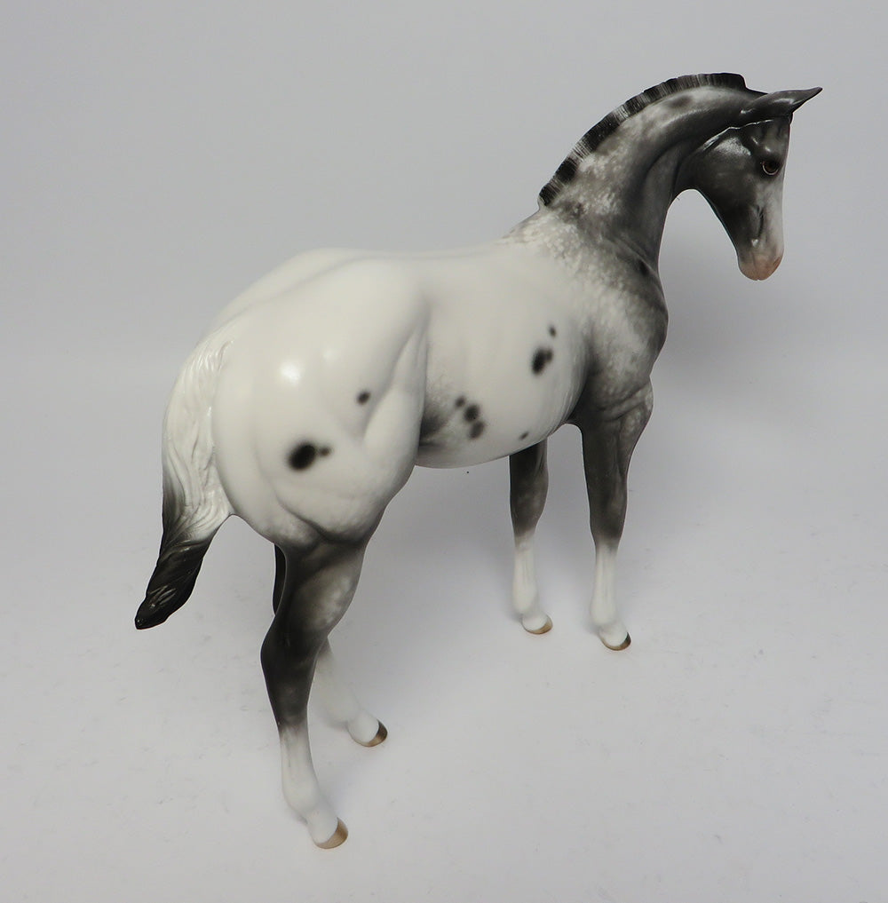 JASPER TWO~OOAK APPALOOSA WEANLING MODEL HORSE BY SHERYL LEISURE 4/20