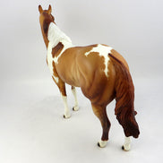 AIN'T TO LAZY-OOAK ETCHED RED DUN TOBIANO ISH  MODEL HORSE BY JULIE KEIM 11/18/16