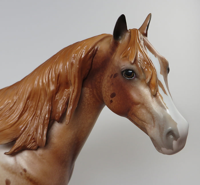 SPOT ME QUICK-OOAK CHESTNUT APPALOOSA ISH MODEL HORSE 6/3