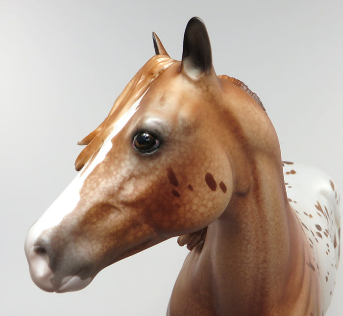 SPOT ME QUICK-OOAK CHESTNUT APPALOOSA ISH MODEL HORSE 6/3