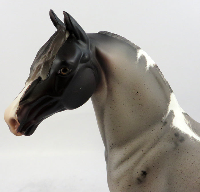 ZAMBONI ROANIE-OOAK ETCHED BAY TOBIANO MORGAN MODEL HORSE BY JULIE KEIM 11/18/16