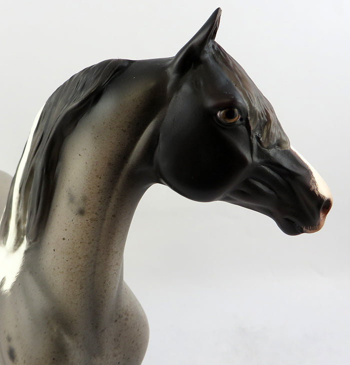 ZAMBONI ROANIE-OOAK ETCHED BAY TOBIANO MORGAN MODEL HORSE BY JULIE KEIM 11/18/16