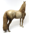 DOM PERIGNON-OOAK CHESTNUT MORGAN MODEL HORSE BY AL 6/10