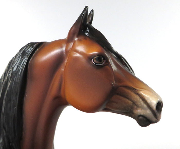 POLKA DOT PETE-OOAK BAY APPALOOSA MORGAN MODEL HORSE 6/3