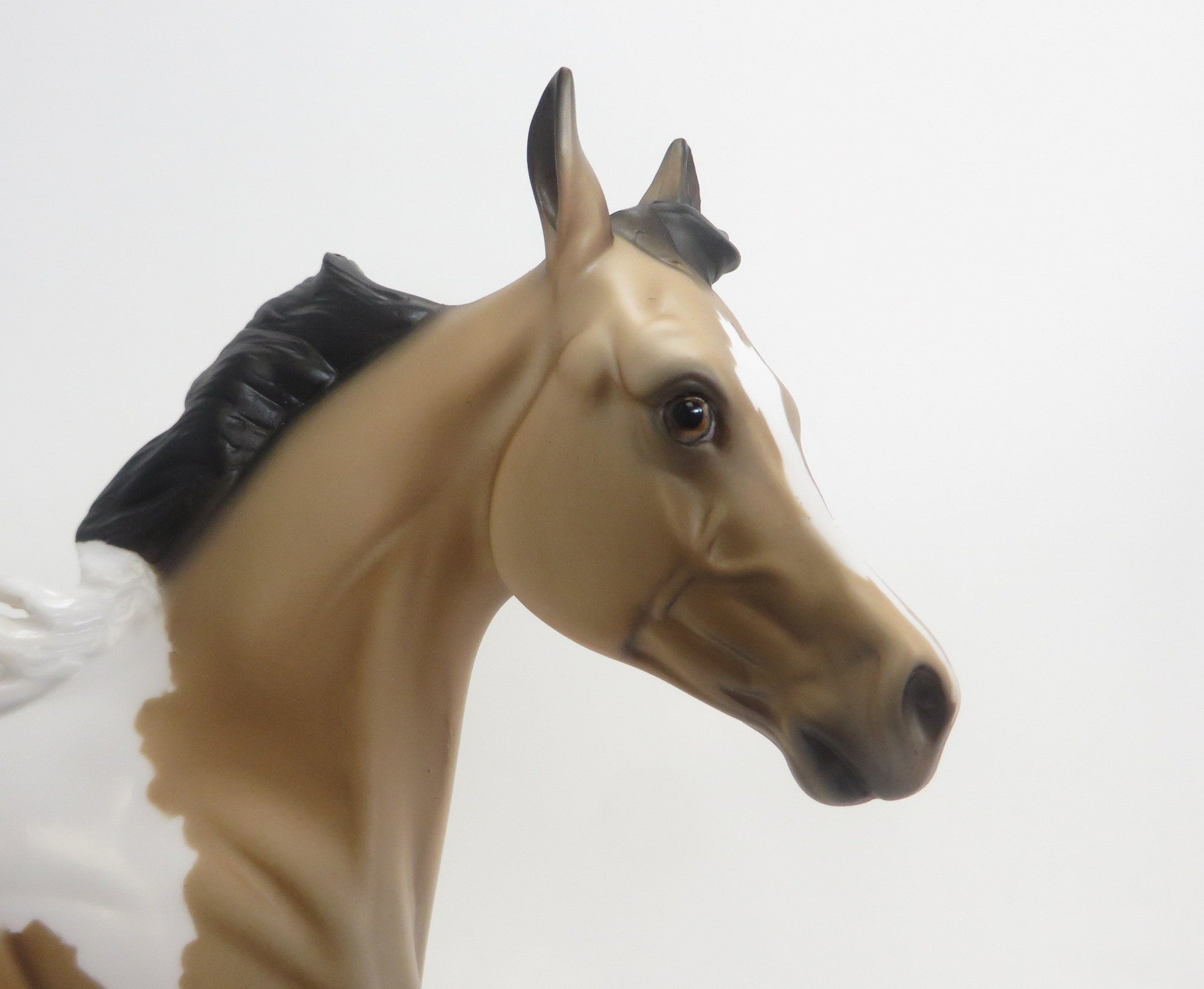 CARMELLA-OOAK-BUCKSKIN PAINT YEARLING 9/4