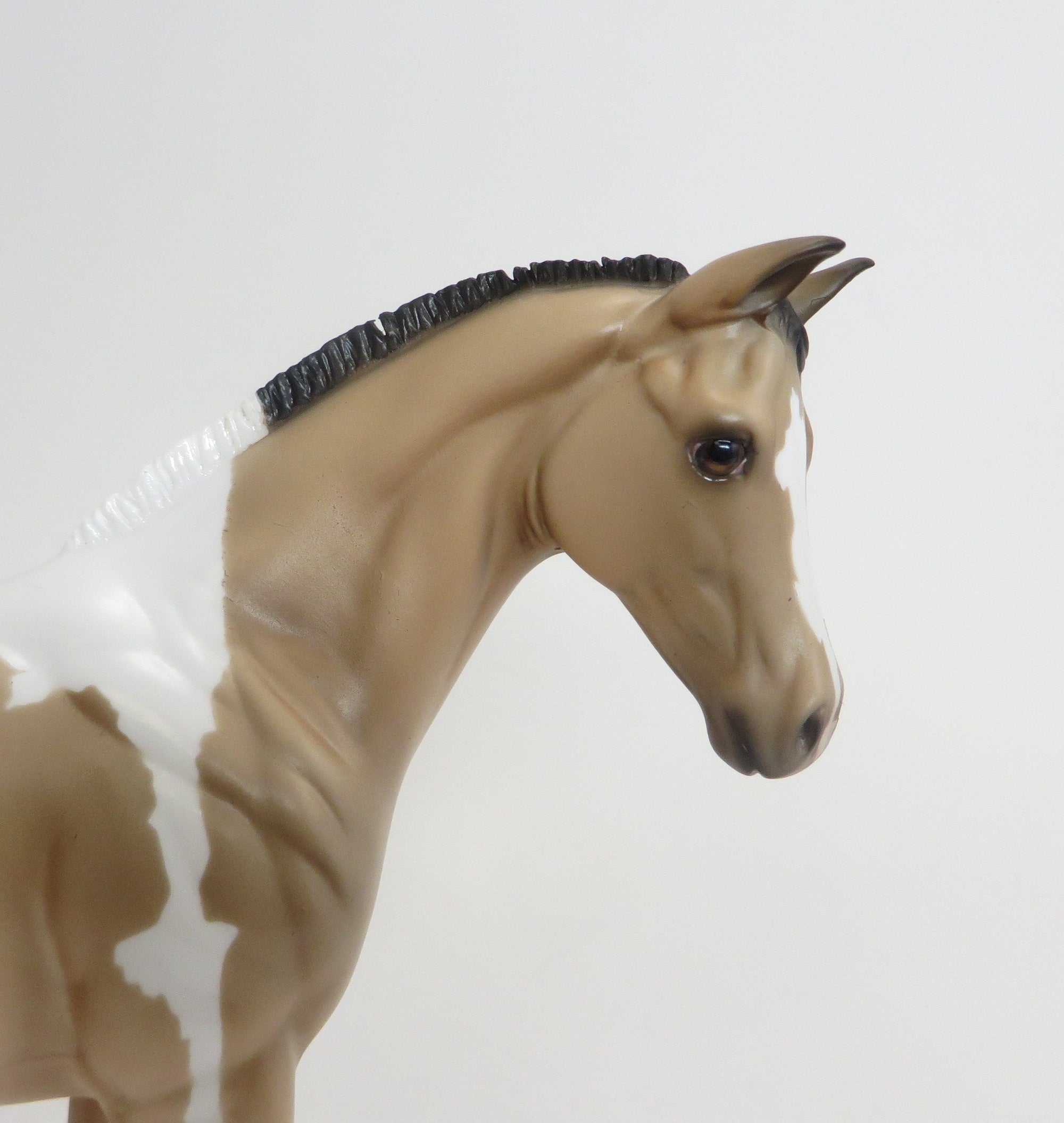 PAINT MODEL HORSE