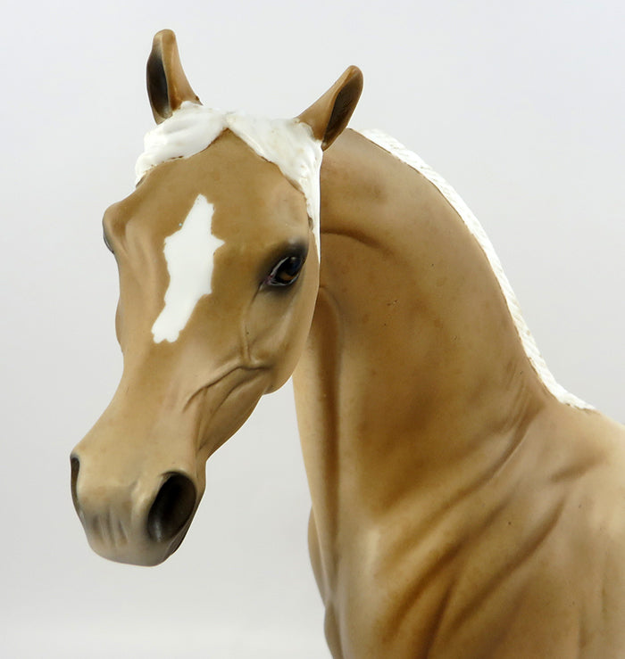 palomino