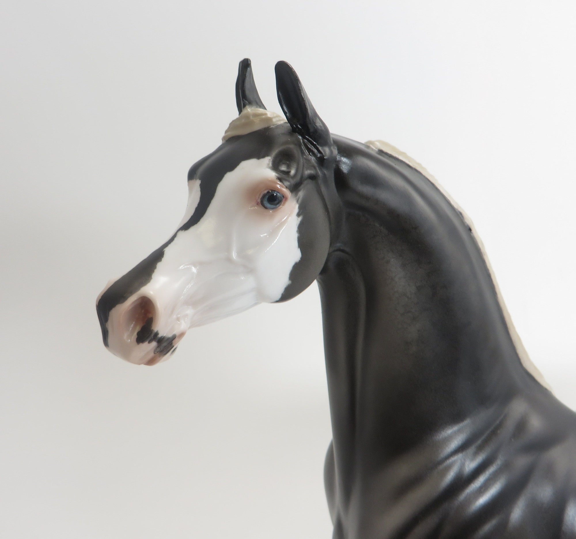 MAESTRO- OOAK-DAPPLE GREY ARAB 9/4