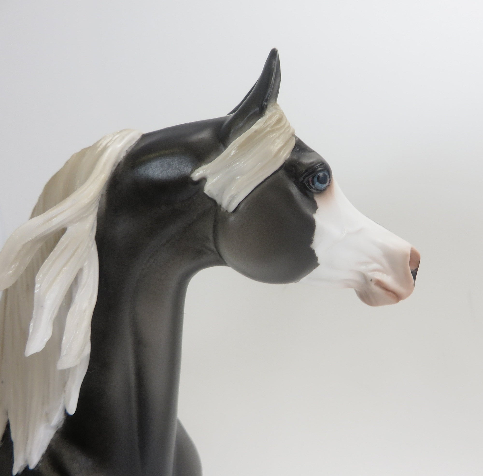 MAESTRO- OOAK-DAPPLE GREY ARAB 9/4