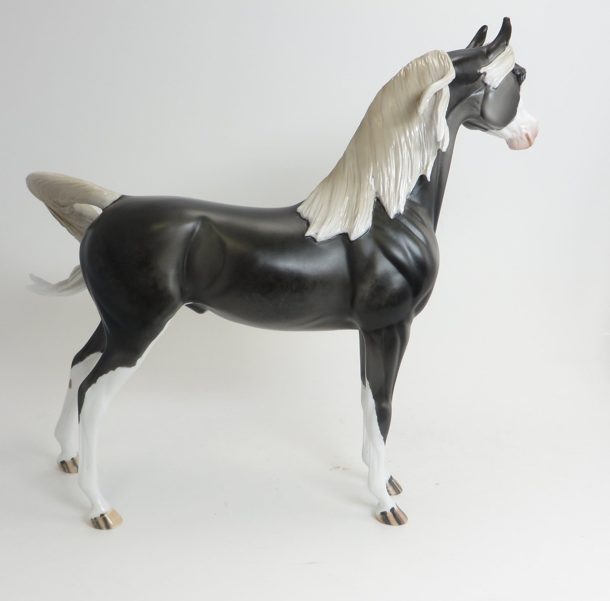 MAESTRO- OOAK-DAPPLE GREY ARAB 9/4