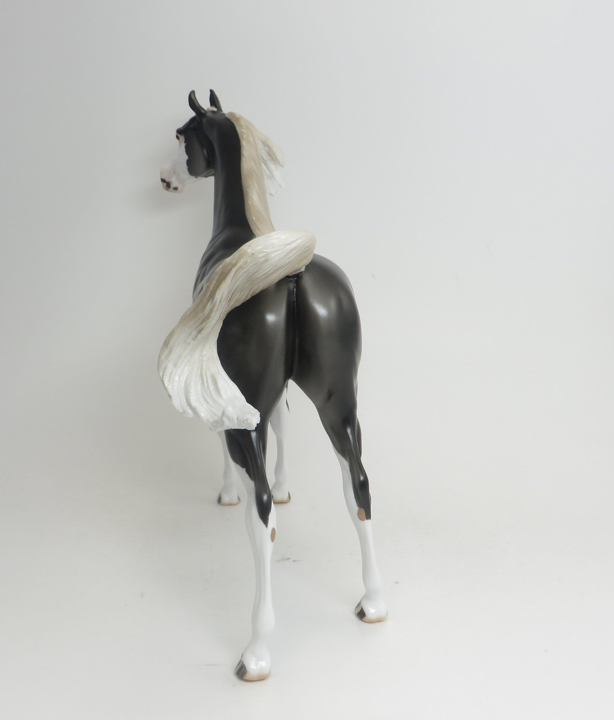 MAESTRO- OOAK-DAPPLE GREY ARAB 9/4