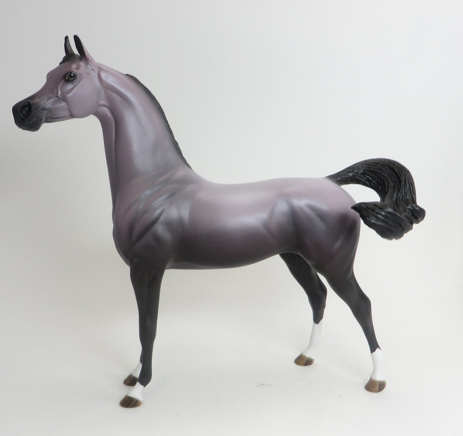 WINDSONG-OOAK-LAVENDER ARABIAN 9/3