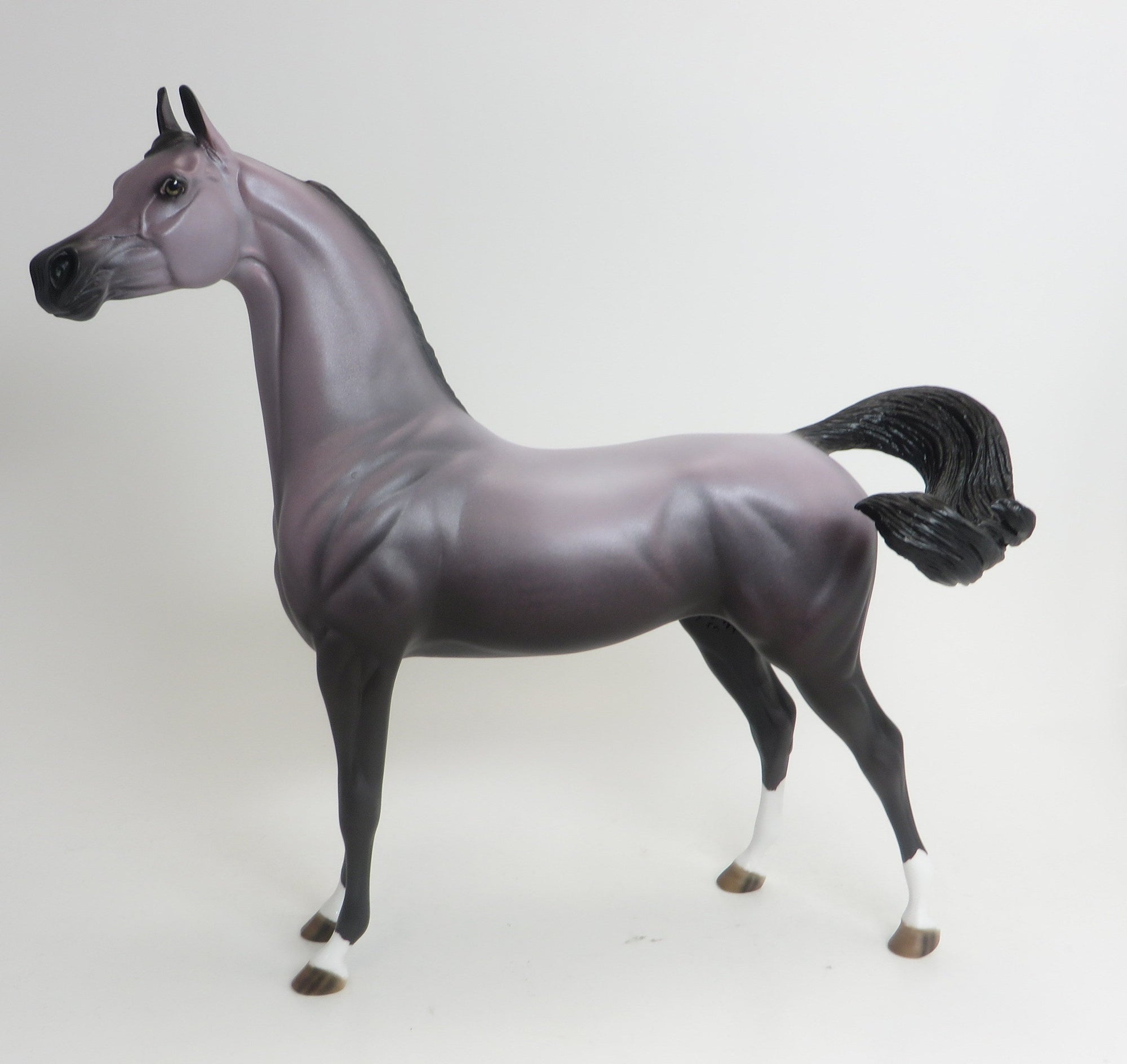 WINDSONG-OOAK-LAVENDER ARABIAN 9/3