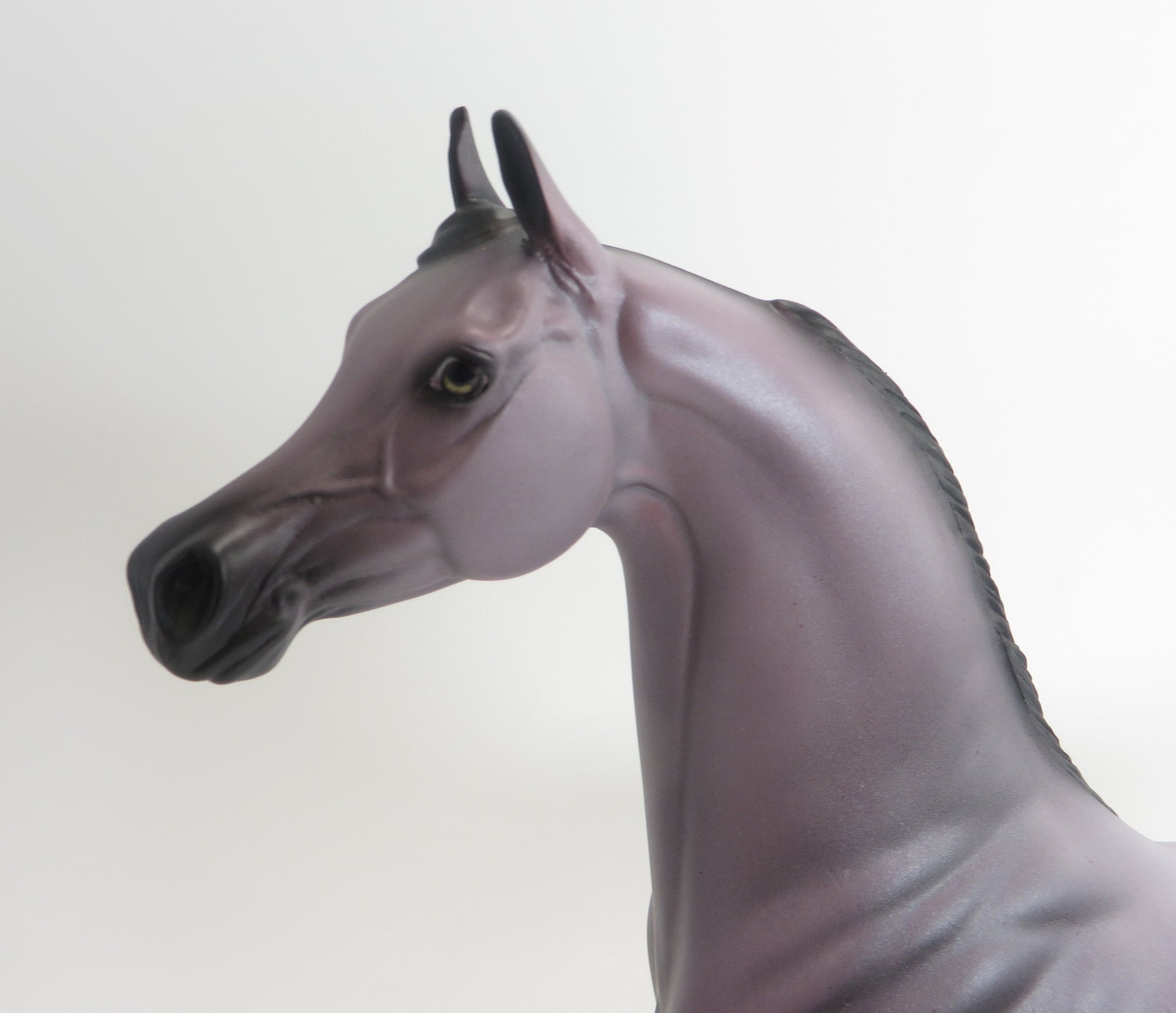 WINDSONG-OOAK-LAVENDER ARABIAN 9/3