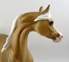 Palomino