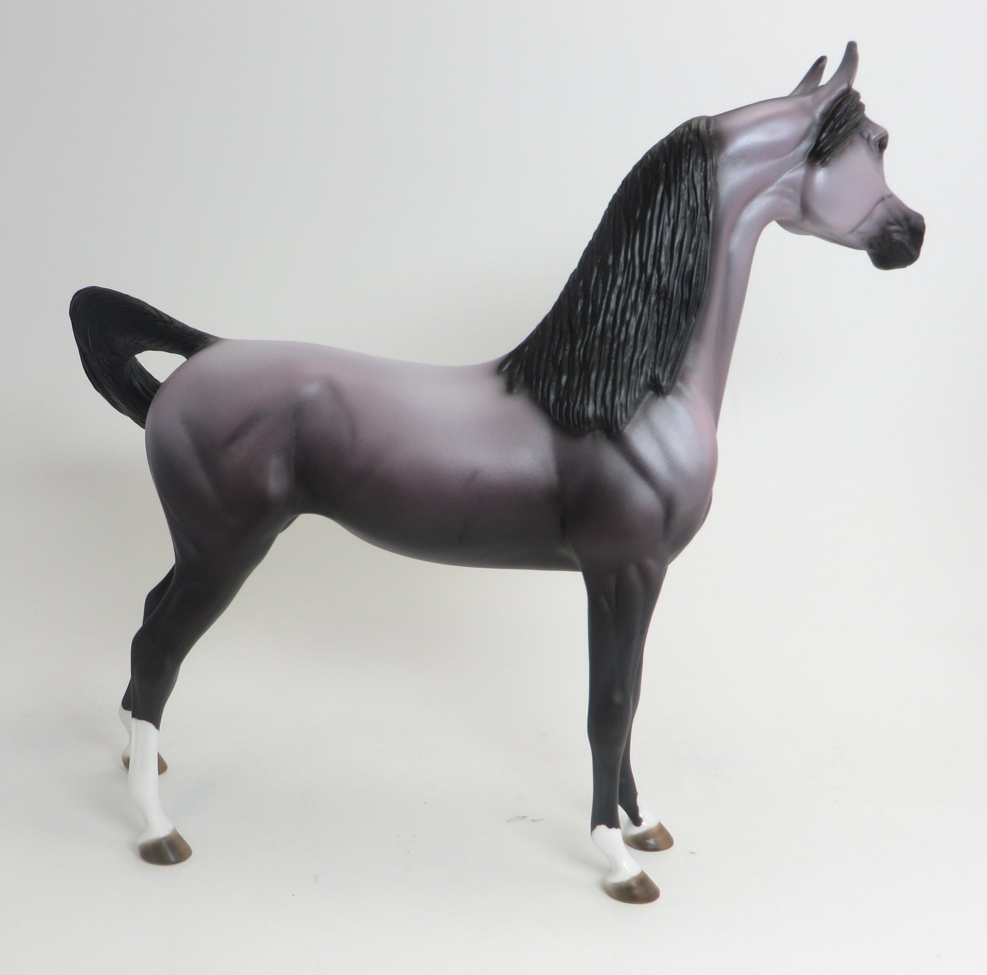 WINDSONG-OOAK-LAVENDER ARABIAN 9/3