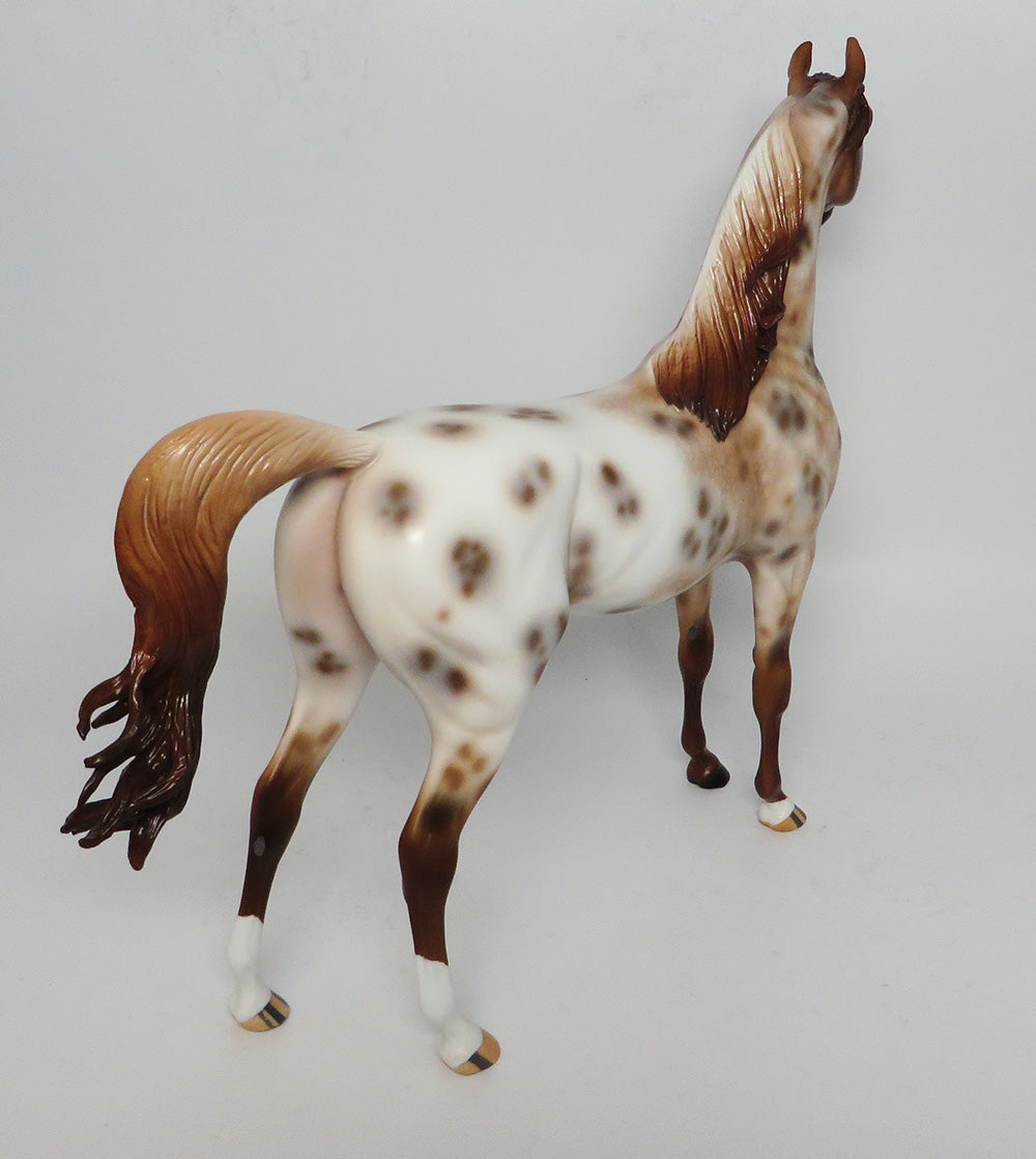 Appaloosa