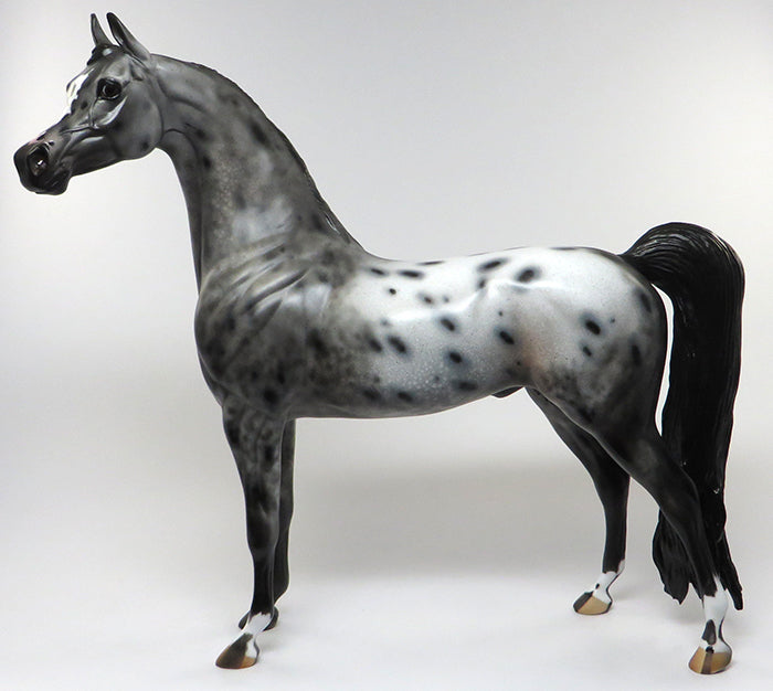 A HORSE WITH NO NAME