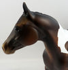 Stock Horse