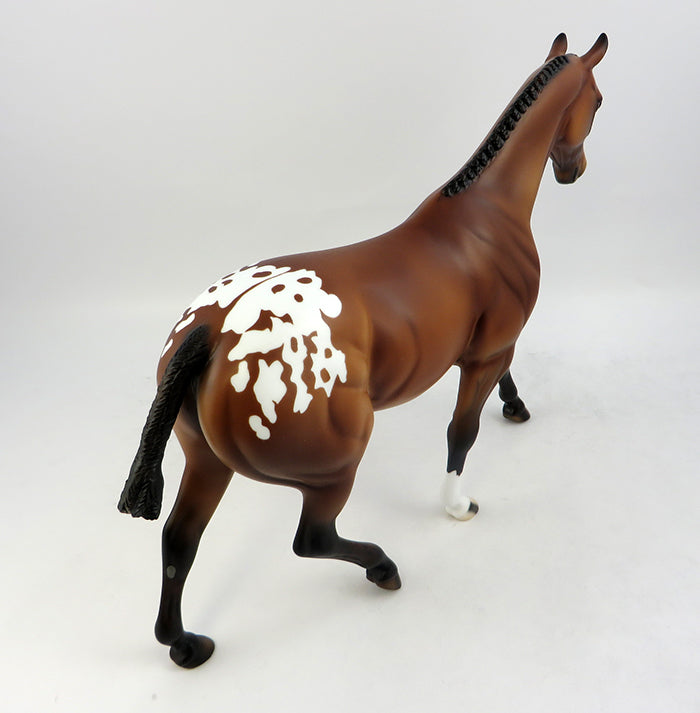 Appaloosa