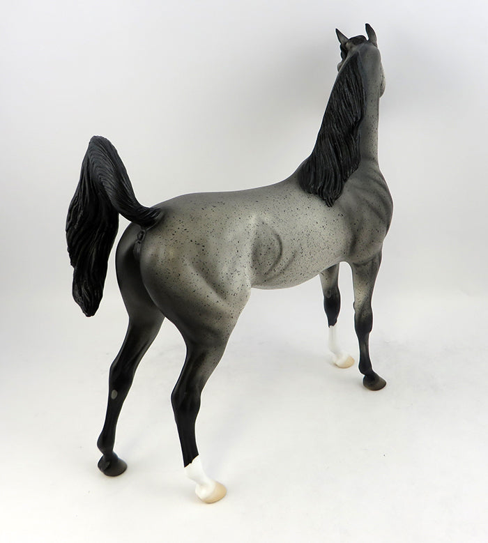 SHANDI-OOAK BLUE ROAN ARABIAN MODEL HORSE 11/22/16