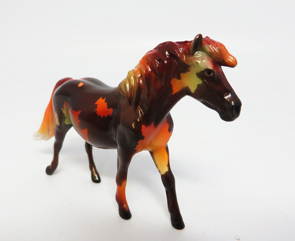 BEECH~OOAK FALL DECORATOR PONY CHIP 10/25/17