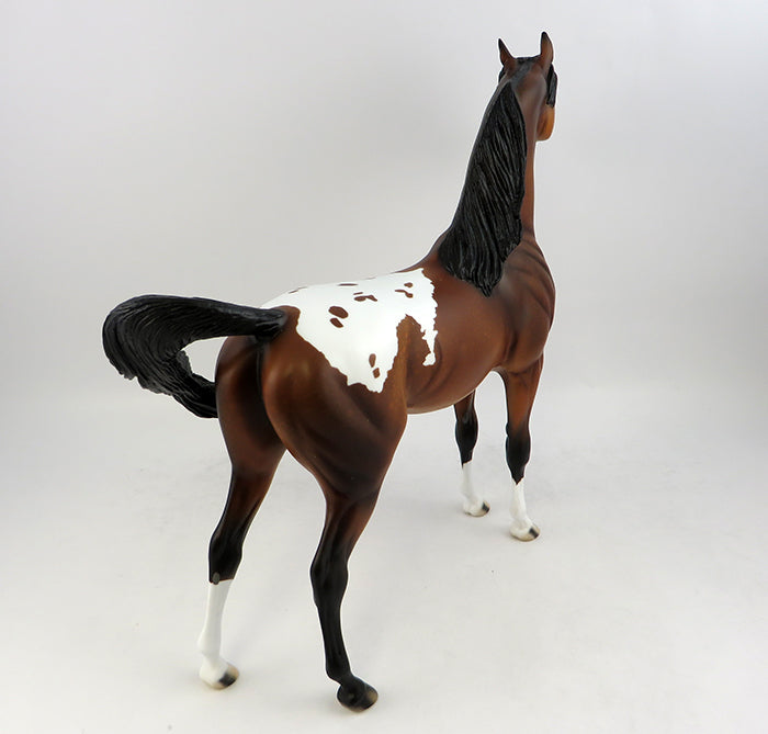 bay appaloosa