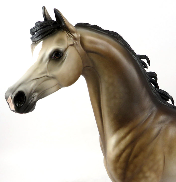 WOLFGANG-OOAK DAPPLE BAY ARABIAN BY SHERYL LEISURE MODEL HORSE 11/22/16