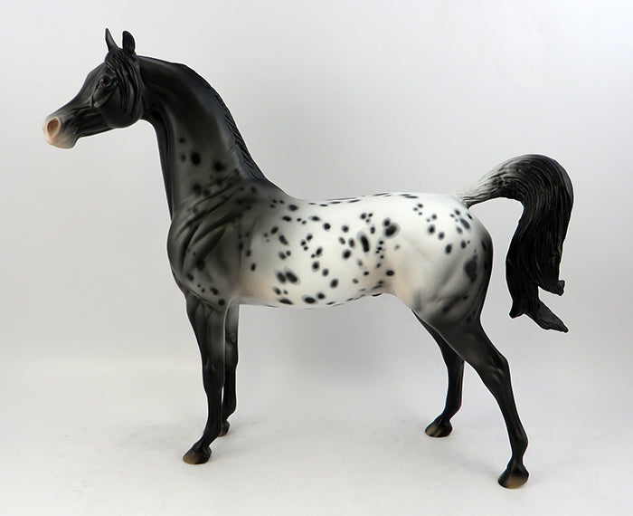 appaloosa 