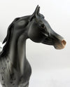 arabian peter stone