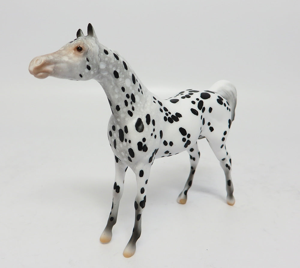 Leopard Spot Appaloosa
