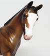 APPALOOSA