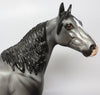 APPALOOSA