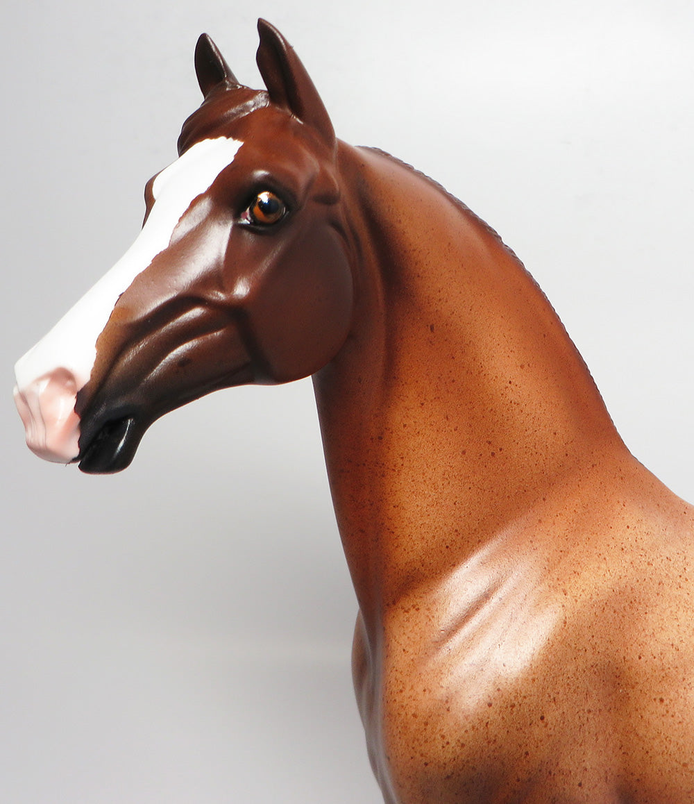 JOHNNY B GOOD-OOAK RED ROAN MORGAN MODEL HORSE 4/21