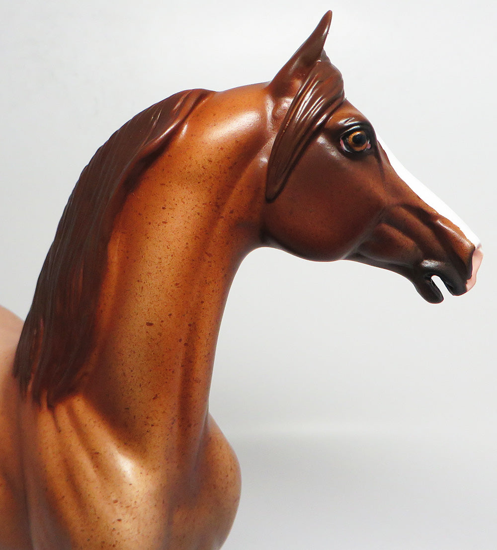 JOHNNY B GOOD-OOAK RED ROAN MORGAN MODEL HORSE 4/21