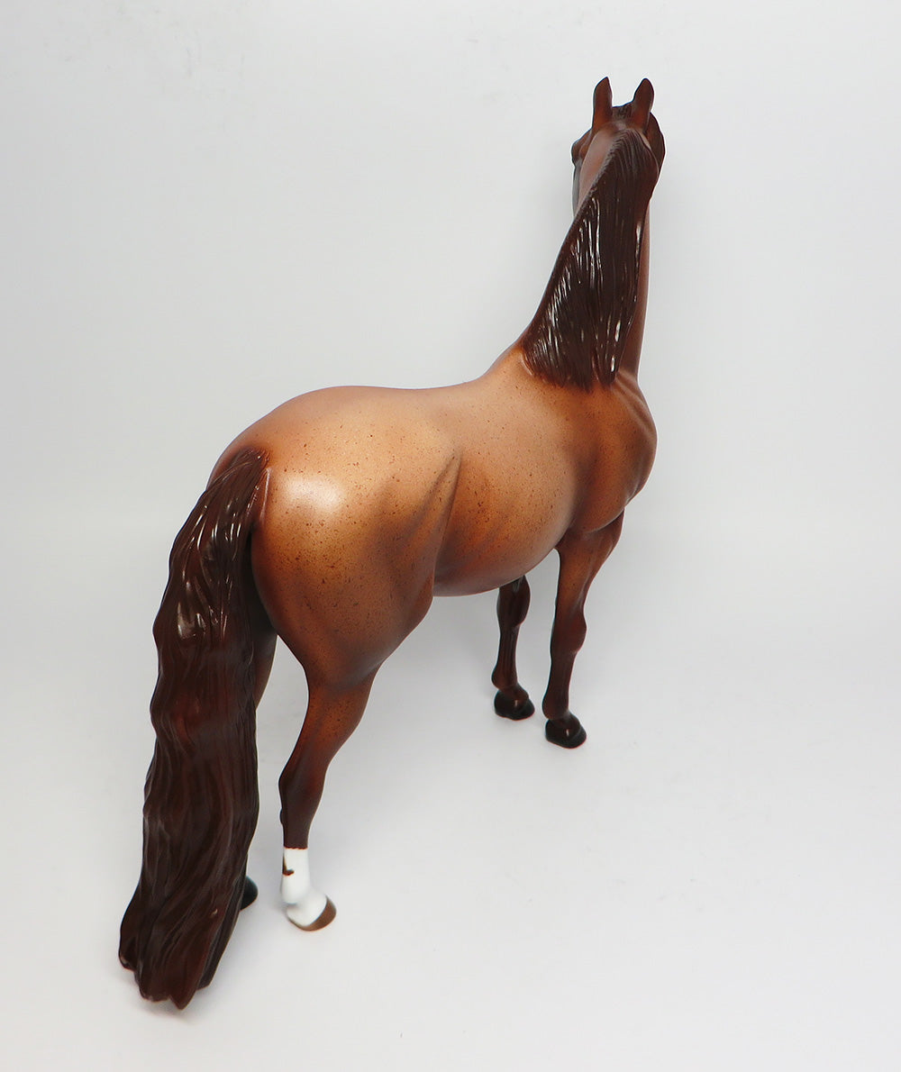 JOHNNY B GOOD-OOAK RED ROAN MORGAN MODEL HORSE 4/21