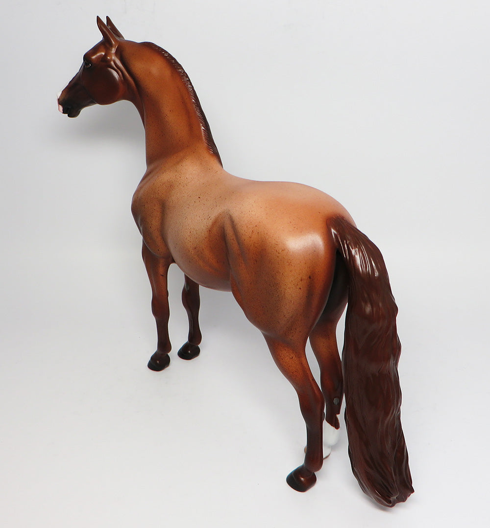 JOHNNY B GOOD-OOAK RED ROAN MORGAN MODEL HORSE 4/21
