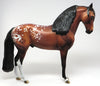 tanzania bay appaloosa 