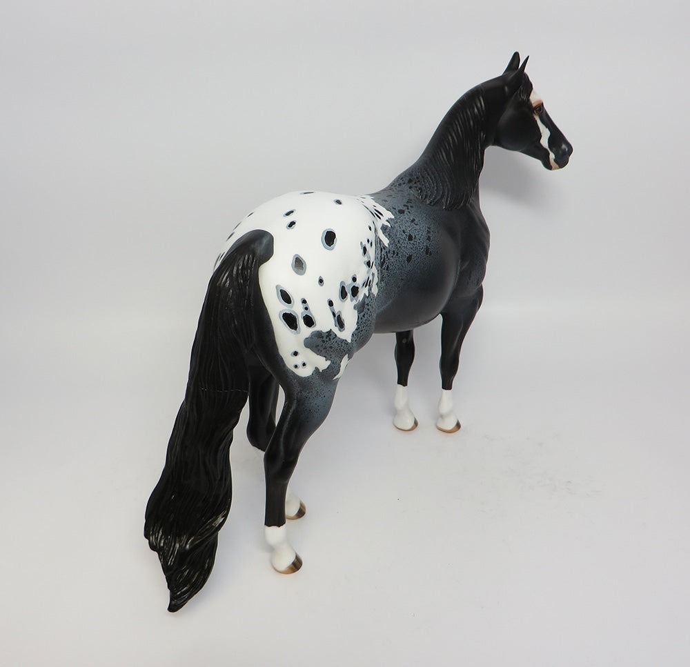 Appaloosa