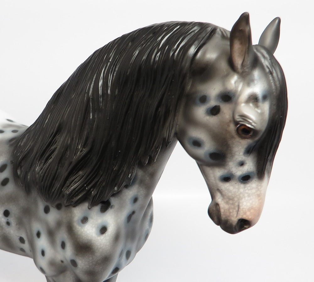 APPARITION~OOAK LOUD APPALOOSA ANDALUSIAN MODEL HORSE BY DAWN QUICK 10/27/17