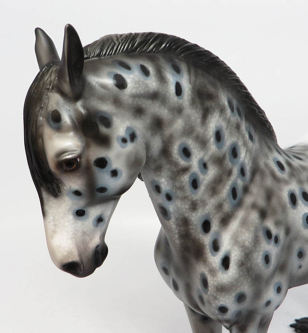 APPARITION~OOAK LOUD APPALOOSA ANDALUSIAN MODEL HORSE BY DAWN QUICK 10/27/17