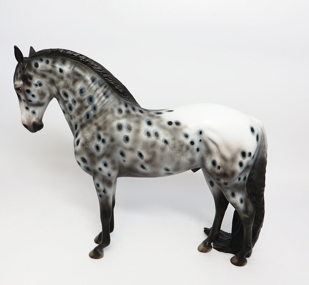 APPARITION~OOAK LOUD APPALOOSA ANDALUSIAN MODEL HORSE BY DAWN QUICK 10/27/17