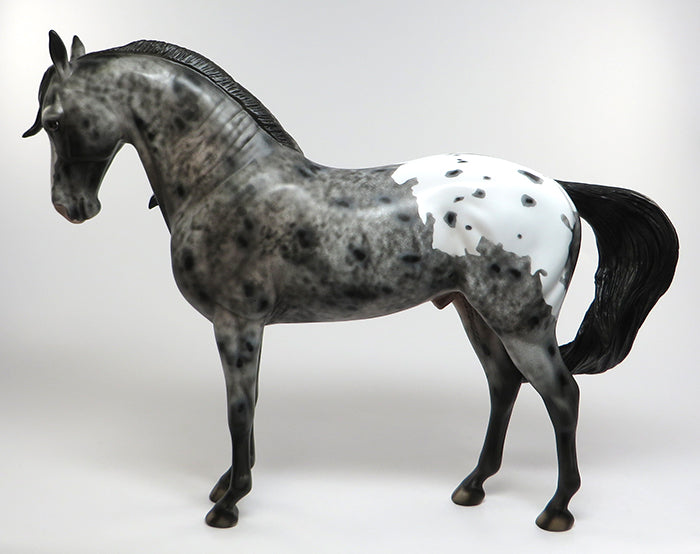 FUEGO-OOAK APPALOOSA ANDALUSIAN MODEL HORSE 6/10
