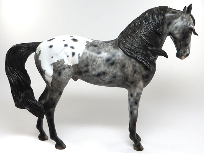 FUEGO-OOAK APPALOOSA ANDALUSIAN MODEL HORSE 6/10