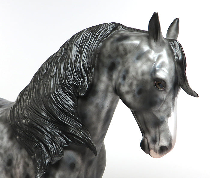 FUEGO-OOAK APPALOOSA ANDALUSIAN MODEL HORSE 6/10